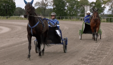 Uue hipodroomi juht: rada on kiirem ja traavlite jaoks rohkem ruumi | Ringvaade