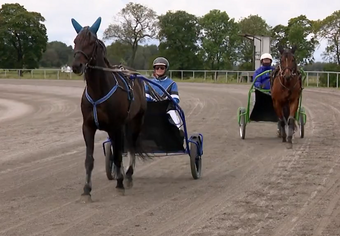 Uue hipodroomi juht: rada on kiirem ja traavlite jaoks rohkem ruumi | Ringvaade