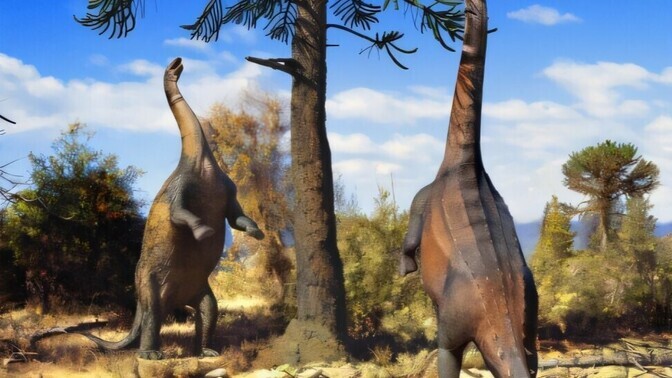 Mõned neljajalgsed dinosaurused upitasid end sageli kahele jalale püsti | Loodus