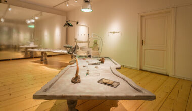 Galerii: tarbekunsti- ja disainimuuseumis avati näitus "Neandertallase ilukabinet" | Muuseumid