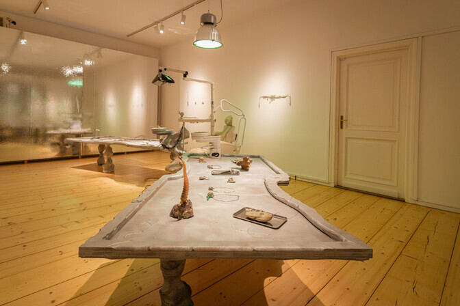 Galerii: tarbekunsti- ja disainimuuseumis avati näitus "Neandertallase ilukabinet" | Muuseumid