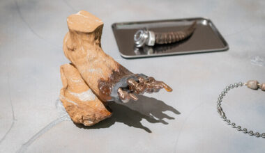 Tarbekunsti- ja disainimuuseumis avati näitus ilu kiirkaubastumisest | Kunst