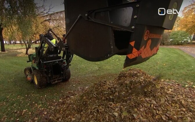 Lehekoristajatel on tööd nii öösel kui päeval | Eesti