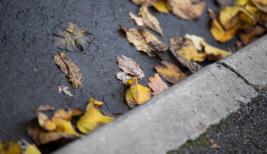 Laupäev algab kerge vihmasajuga | ilm