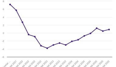 SKP kiirhinnang: majandus kasvas kolmandas kvartalis 0,9 protsenti | Majandus