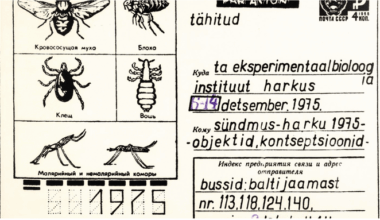 Kumu tähistab 50 aasta möödumist revolutsioonilisest kunstisündmusest | Kunst