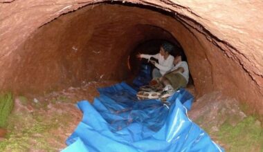 Teadlased leidsid Brasiilias ja Argentinas maa alt 600 meetri pikkused tunnelid. Kes need kaevas?