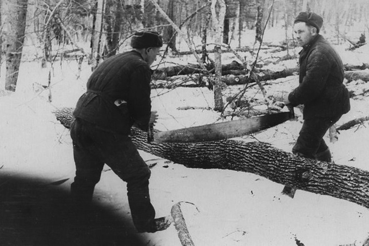 „Selle eesmärk on inimesi lömastada.“ Kurikuulus Mordva Gulag on Putini ajal ärganud uuele elule