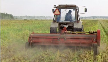 Välistöötajate vaikne kannatamine Eestis: 300 töötundi kuus, kuid palk katab ainult toidu ja üüri