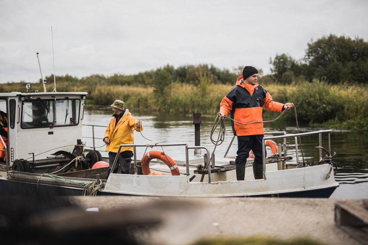 Eesti saavutas Läänemerel 45% kilu ja 15% räime püügivõimaluste kasvu