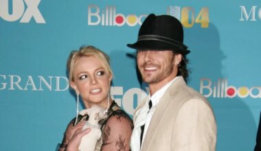 Britney vastab eksmehe karmidele süüdistustele