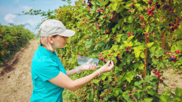Isikuandmete töötlemine renditööjõudu kasutades