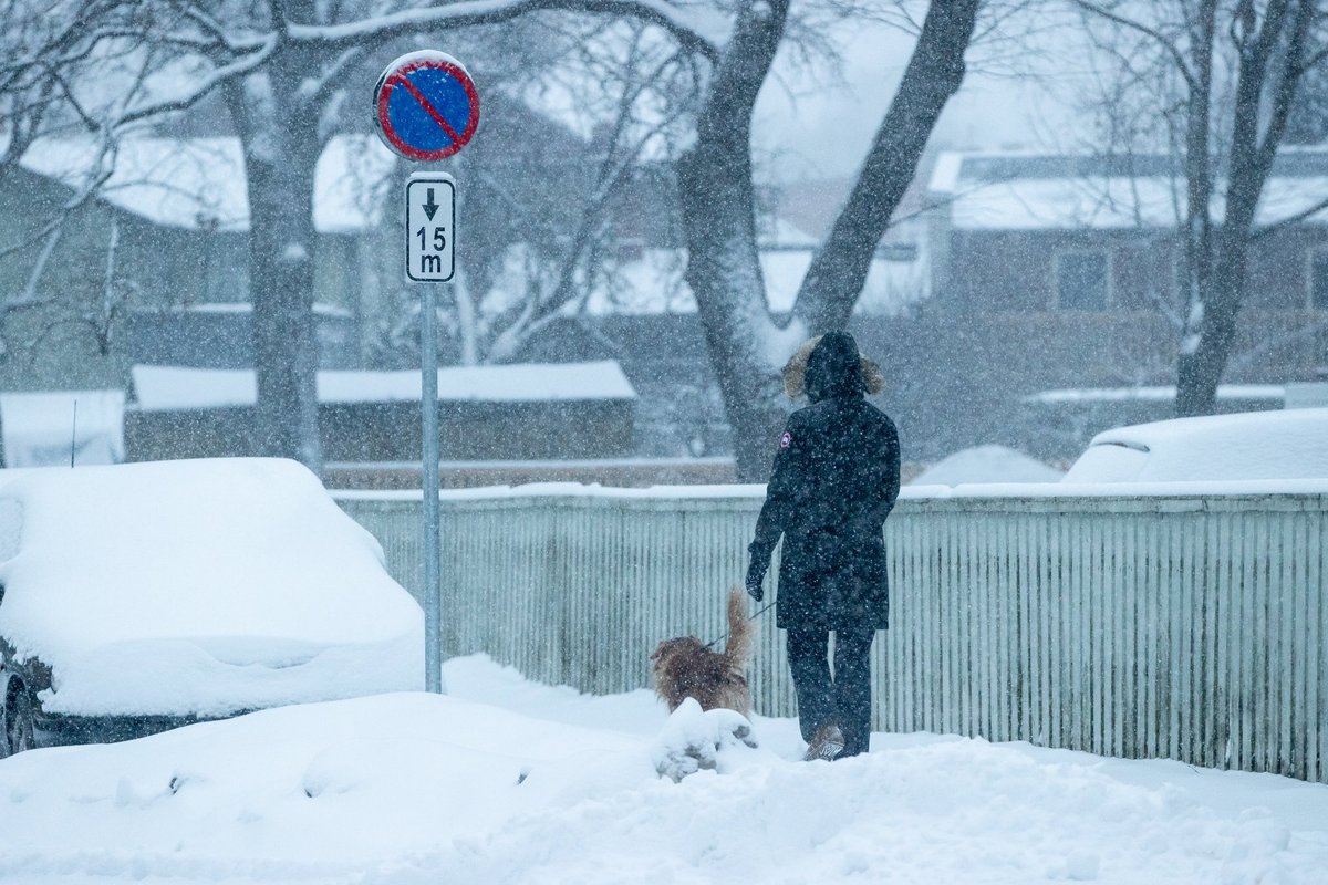 Ossinovski lubab, et lumele tehakse Tallinnas üks-null. Hankevaidlused on aga endiselt õhus