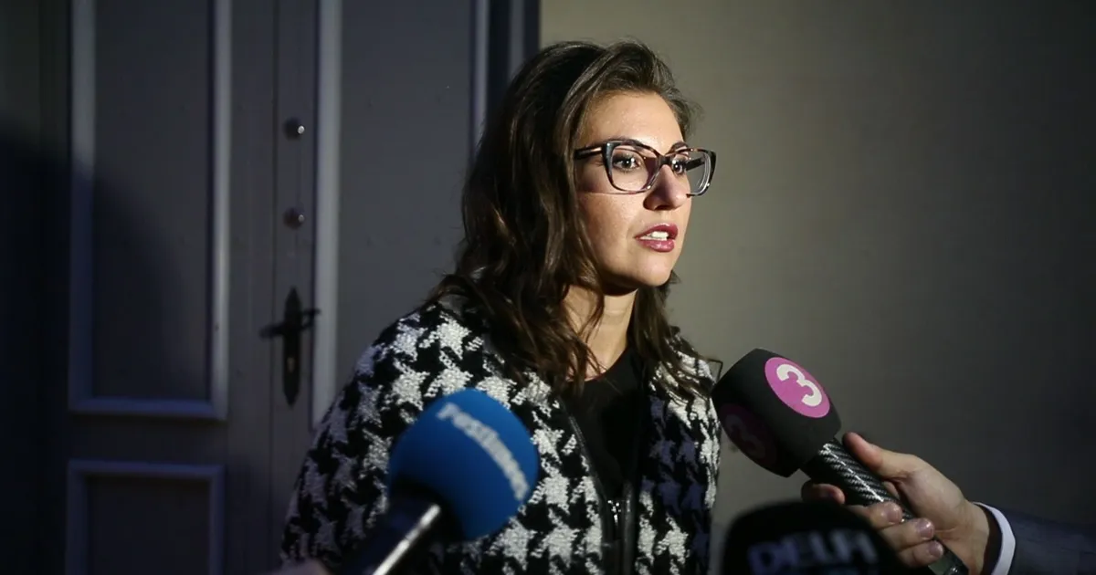 Poliitik Olga Ivanova kutsus Tallinna skandaalsed venemeelsed poliitaktivistid