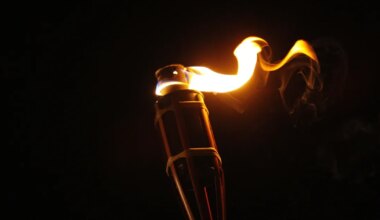 TÄNA AJALOOS ⟩ Tudengite tõrvikurongkäik lõppes repressioonidega