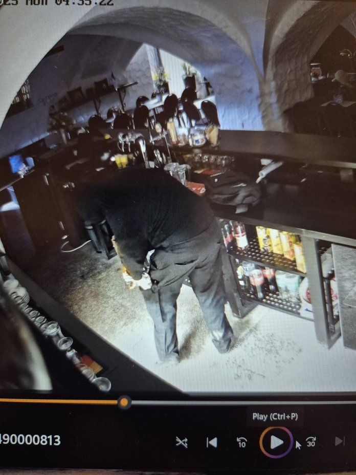 Luunjas asuvas Sadama pubis käis varas