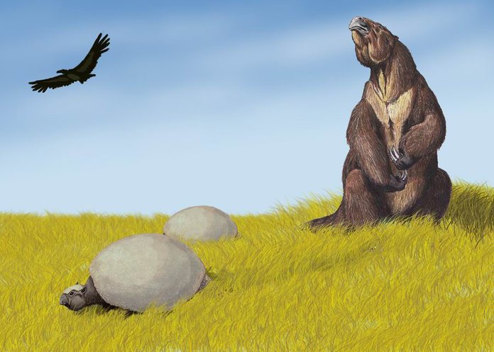 Megatherium.