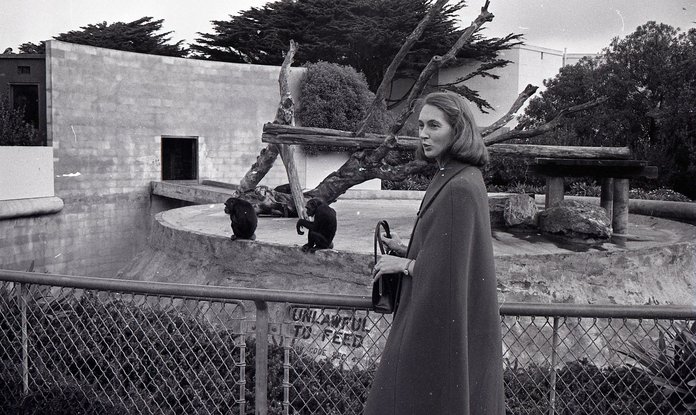 Goodall 1970. aastal San Francisco loomaaias.