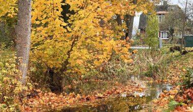 ILMATEADE | Jätkub jahe ja niiske ilm