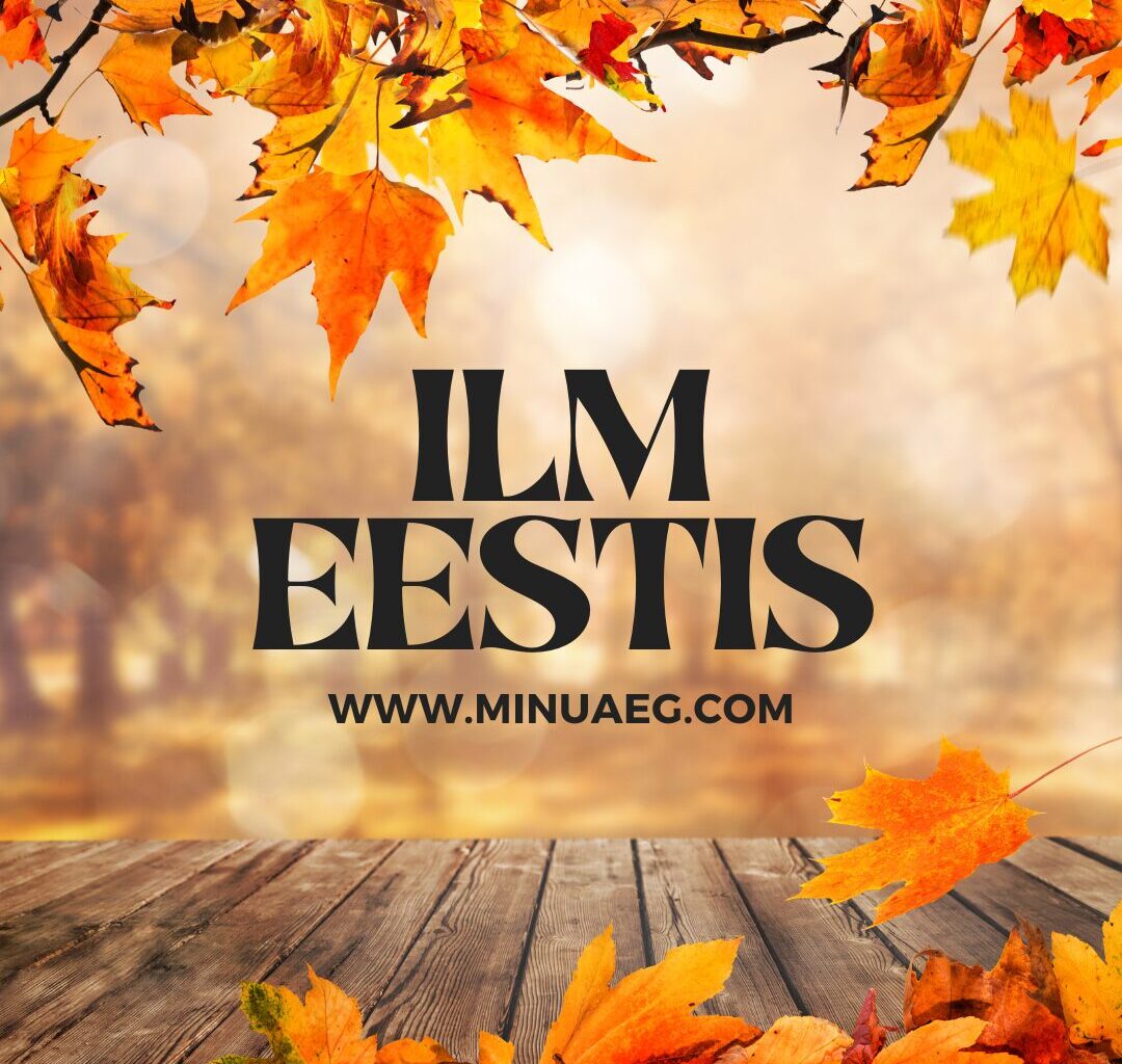 ilm, minuaeg.com