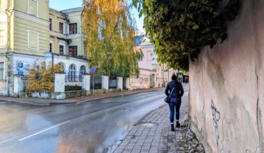 Tänavale ulatuvuad oksad kaarduvad lumega madalamale ja segavad liikumist ning hooldust.