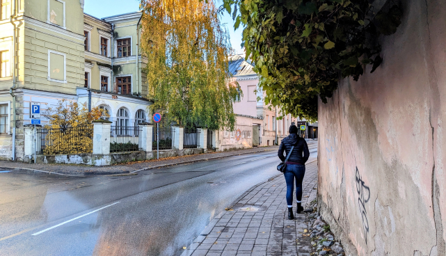Tänavale ulatuvuad oksad kaarduvad lumega madalamale ja segavad liikumist ning hooldust.