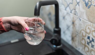 Kas Saaremaal vohab taas kolibakter? Ametnik: veeproovid on puhtad