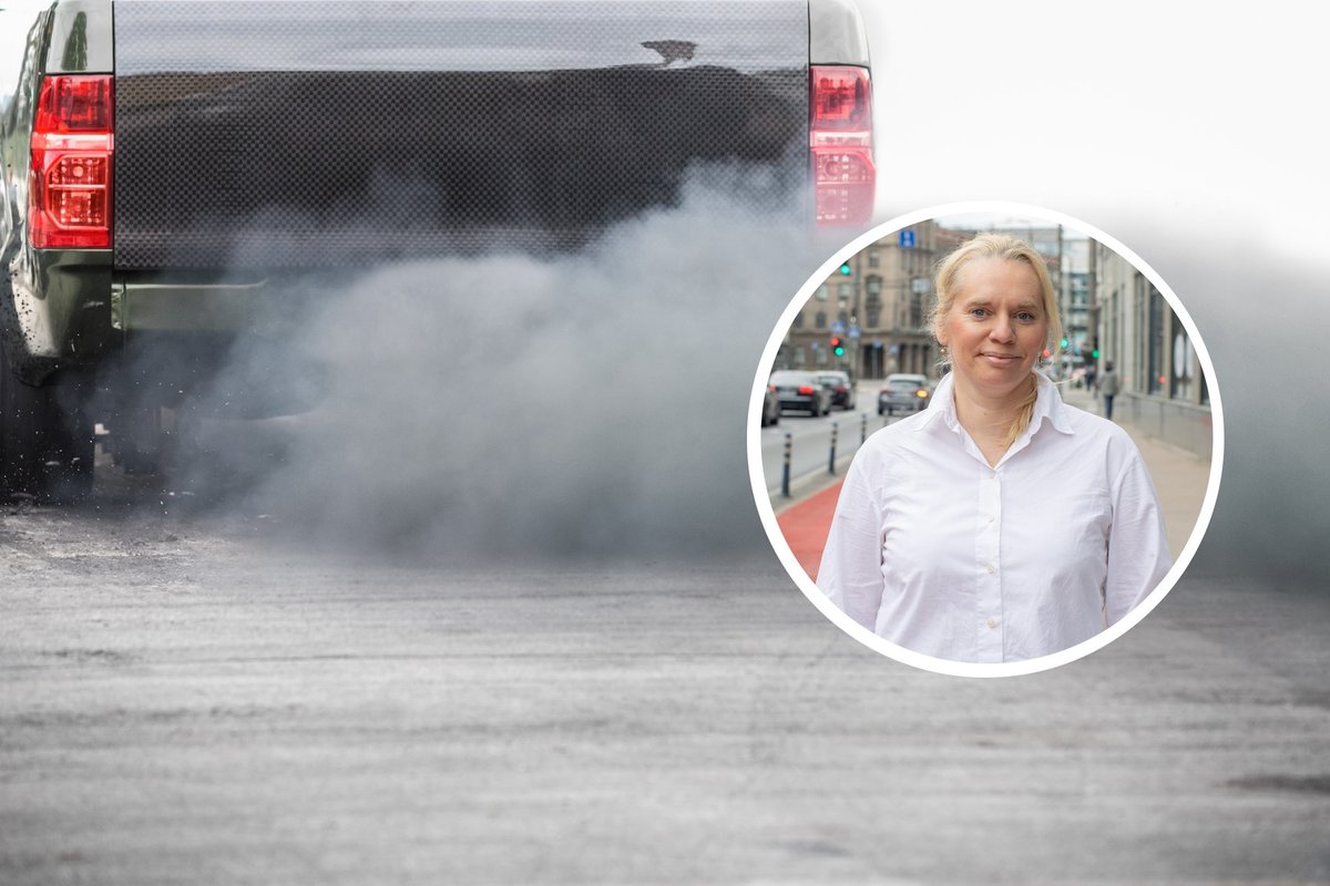 Helen Sooväli-Sepping: valimistel räägitakse meile juttu, millel pole seost teadmiste ning inimeste tervisega. Kui kaua veel? - Eesti Päevaleht