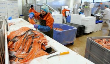 Kohus on otsustanud: M.V.Wool ei rakendanud piisavalt meetmeid toidu saastumise vältimiseks