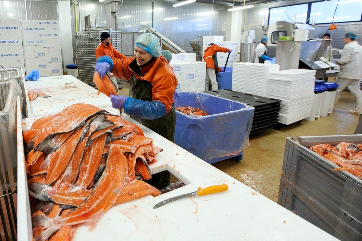 Kohus on otsustanud: M.V.Wool ei rakendanud piisavalt meetmeid toidu saastumise vältimiseks