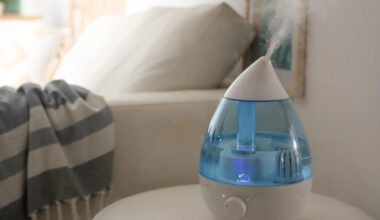 Ostujuht: 7 nippi, mille põhjal valida algavaks kütteperioodiks enda koju õhuniisuti