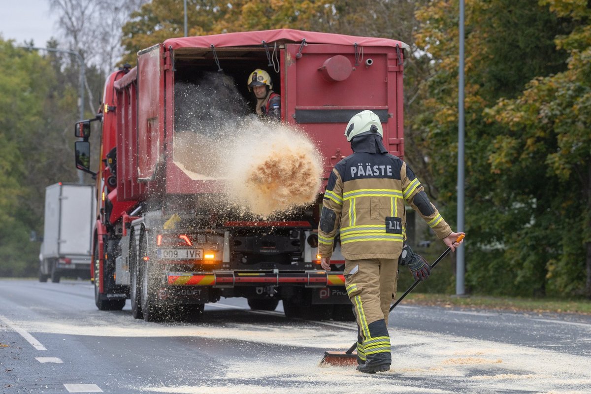 FOTOD | Viimsi ringteed kattis ulatuslik naftareostus