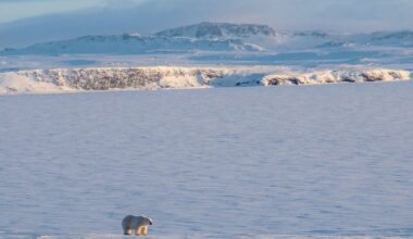 Šoigu: Venemaa tuumapolügoonid on kasutamiseks valmis