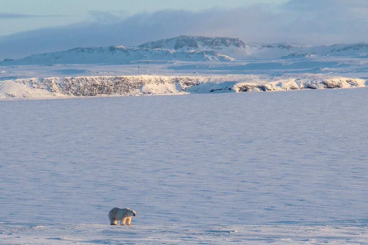 Šoigu: Venemaa tuumapolügoonid on kasutamiseks valmis