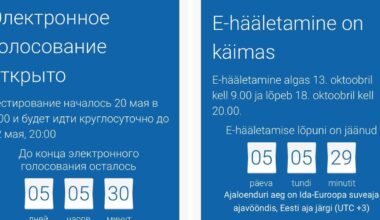 Valimiste ametlik veebileht kuvas inimestele eksitavat infot