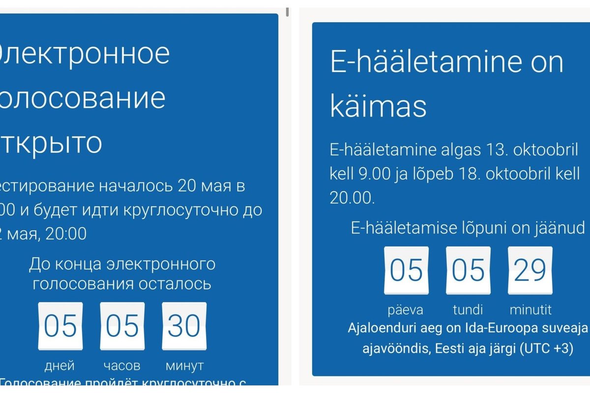 Valimiste ametlik veebileht kuvas inimestele eksitavat infot