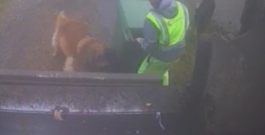 Koerarünnak Pärnu maakonnas