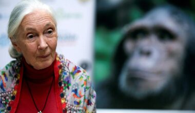 Suri primatoloog Jane Goodall, kes muutis maailma arusaamu šimpansidest