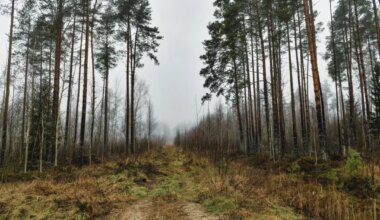 PÄEVAHOROSKOOP: reede, 31. oktoober