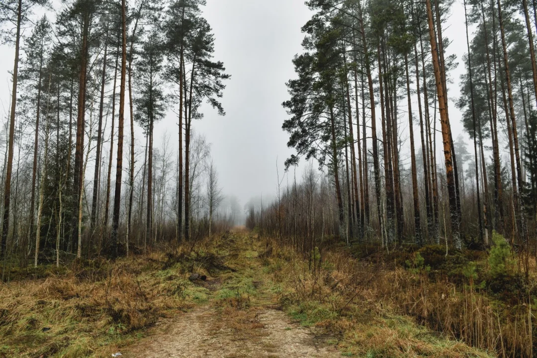 PÄEVAHOROSKOOP: reede, 31. oktoober