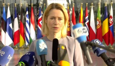 Analüüs: EL-i volinik Kaja Kallas ei ole päris sobiv oma kohale