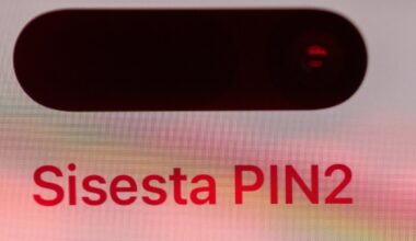 Küberpetturid hoiavad ohvreid pikalt sihikul. "See võib võtta kuid ja alles siis"