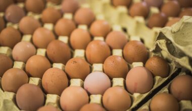 Puurikanade munade hind kerkis hüppeliselt