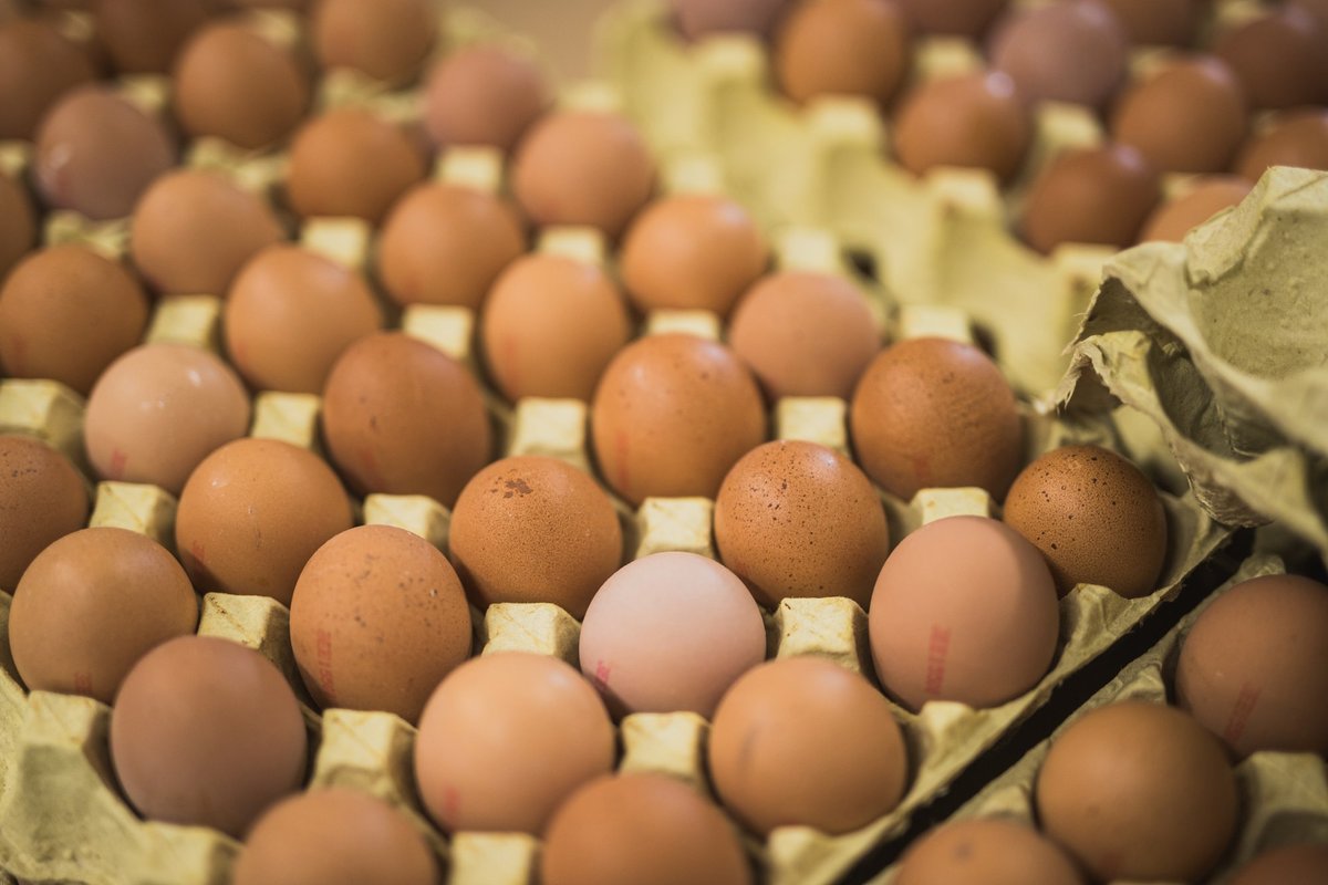 Puurikanade munade hind kerkis hüppeliselt