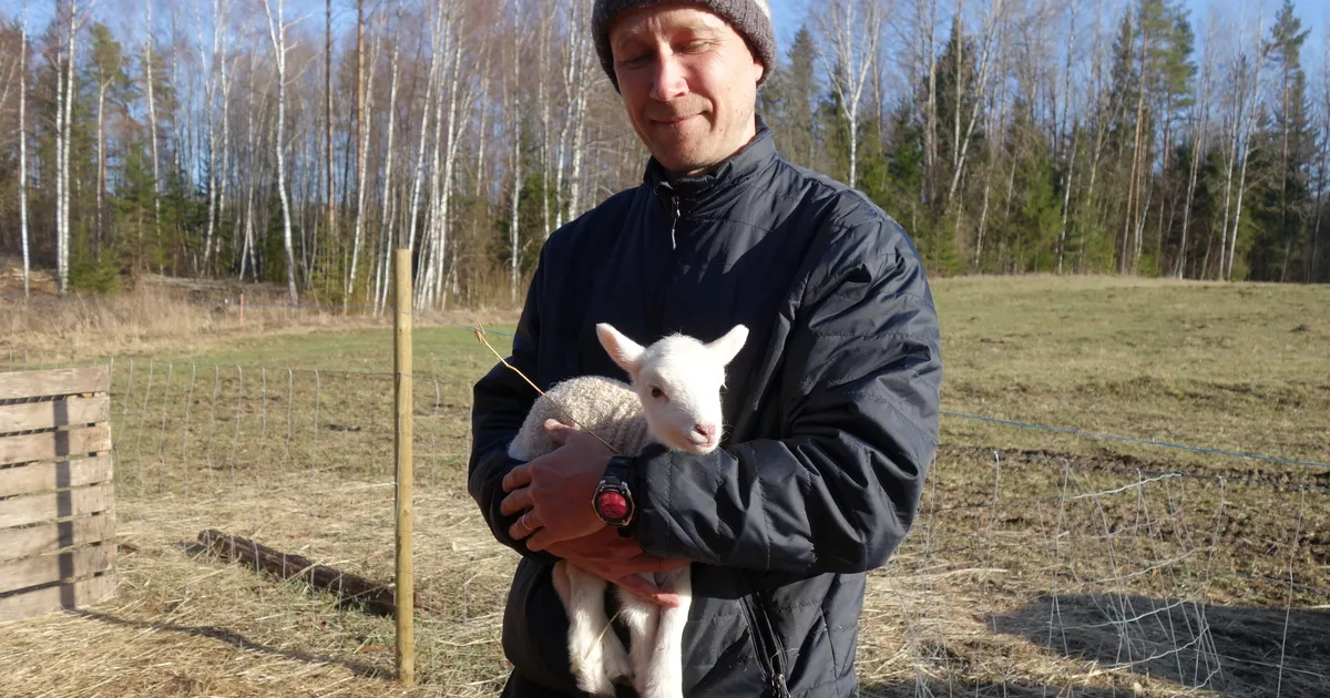 Tippgrant aitab lahti muukida 500 aasta vanust meditsiinimõistatust