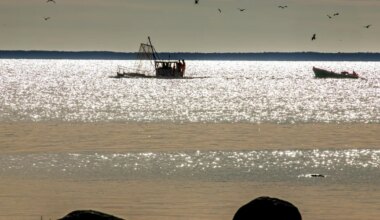 Pärnu kalurite püügivahendite arv jääb samaks