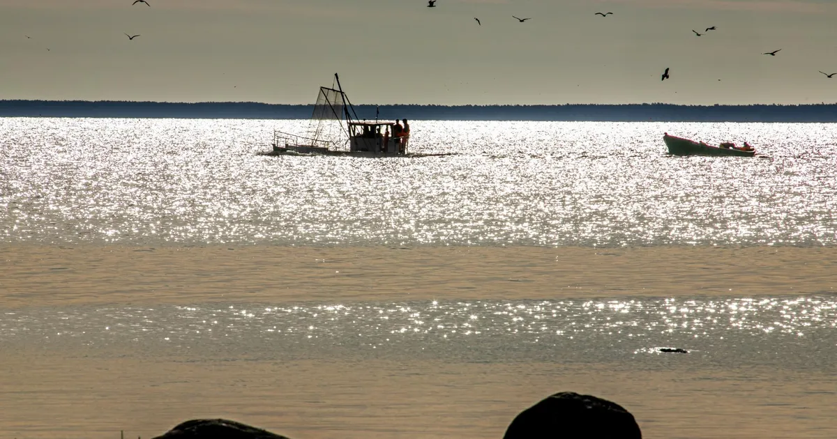 Pärnu kalurite püügivahendite arv jääb samaks
