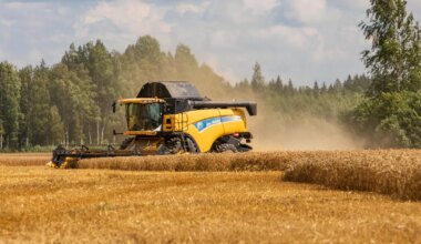 MES avas uue laenumeetme kriisiolukorra leevendamiseks