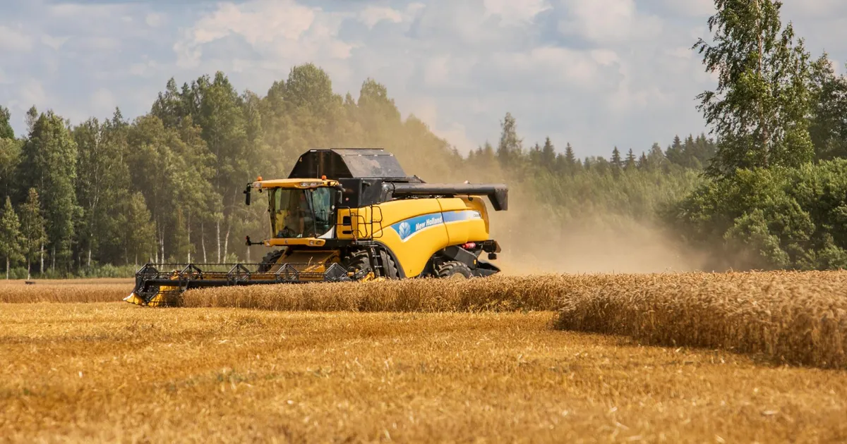 MES avas uue laenumeetme kriisiolukorra leevendamiseks