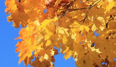 Kaljukitsel on õige aeg elus midagi muuta, Kaalud varjavad hingelist segadust